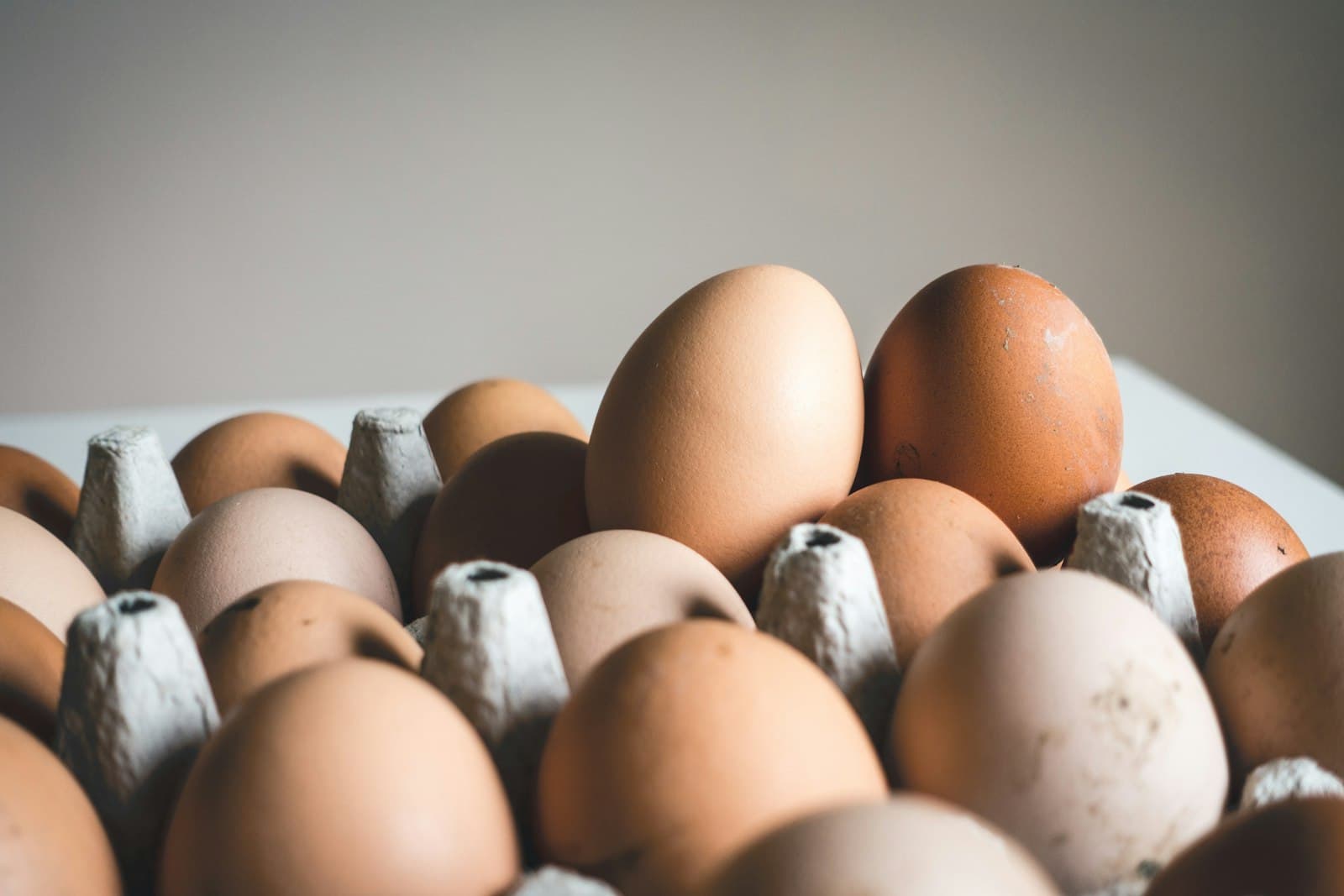 Fresh Agroprime eggs